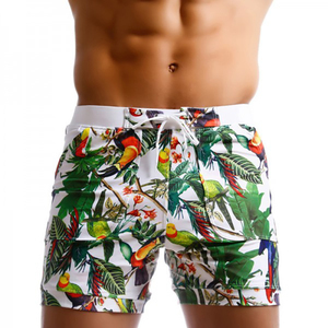 Pantalones cortos de malla personalizados de alta calidad para hombre Pantalones cortos de gimnasio de secado rápido de alta calidad para hombres Pantalones cortos de Entrenamiento Personalizados transpirables - Product Image 1