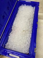Grande Capacité LLDPE 180L Rotomolded Glace Glacière Pour La Pêche Camping
