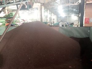 Pimienta Negra Phalco, Origen Vietnam, Seca, Cruda, 50 kg, Certificación HACCP, 24 Meses de Caducidad, Especia Individual - Product Image 4