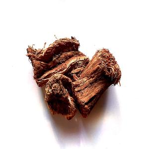 Semal - Bombax Ceiba-Raíces de algodón de seda - Product Image 1