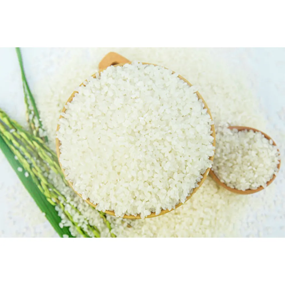 वियतनाम निर्यात थोक बिही चावल की फसल गर्म बिक्री सस्ते मध्यम दौर अनाज 5% टूट
