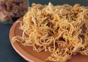 สาหร่ายทะเลแห้งมีประโยชน์ต่อสุขภาพทุกเพศทุกวัย//เทรซี่ - Product Image 4