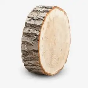 Beech Round Logs African Origin Available For Sale