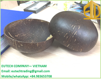 Ensemble de vaisselle en coquille de noix de coco de style vintage, 100% biologique, poli, écologique, prix abordable, Vietnam, EUTECH EVN200