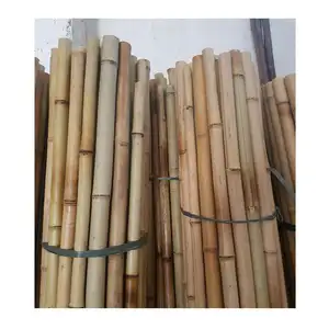 Pólo de bambu natural reto, grosso 2 a 3mm para uso para jardim/vietnã, poda de bambu WS0084587176063