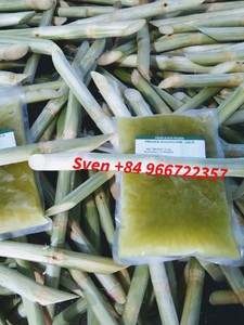 Jus de canne à sucre sucré congelé de haute qualité en provenance du Vietnam - Sven +84 966722357 - Product Image 3