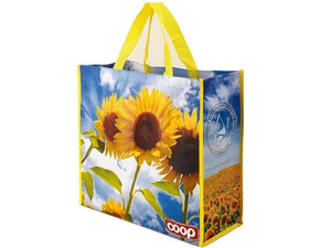 Eco Lamination Non <b>Woven</b> <b>Bag</b> - Product Image 3