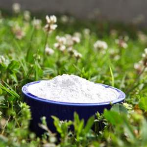 Almidón de Tapioca Natural Estándar de la Mejor Calidad, Hecho en Vietnam - Product Image 1