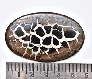 Cabochon septum noir naturel de haute qualité, 1 pièce, pierres précieuses, pour la fabrication de bijoux - Product Image 3