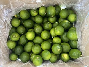 มะนาวสด2019ขายร้อน-มะนาวสด/มะนาวไร้เมล็ดสีเขียวสดจากเวียดนาม/ฮานะเกรดหนึ่ง100% แบรนด์ยาวตามธรรมชาติ - Product Image 4