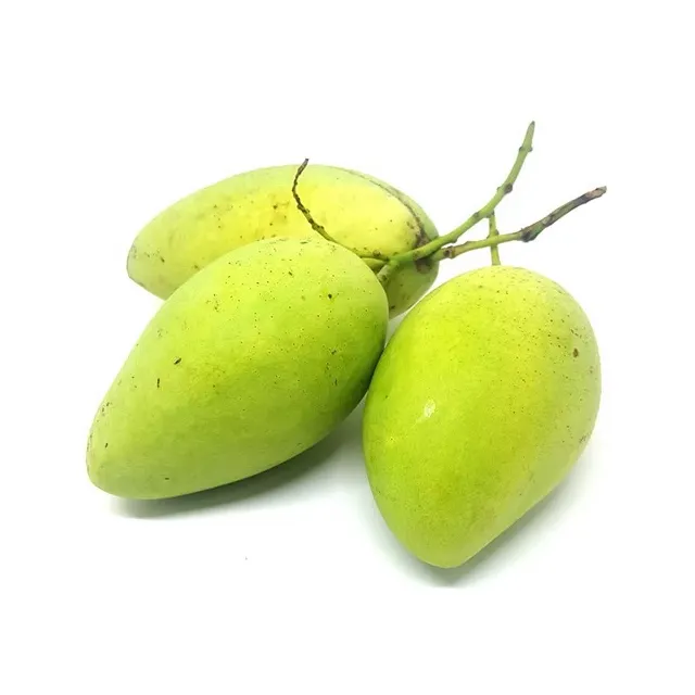 Зеленое манго, сделано в Вьетнаме, 100% натуральное органическое культивирование, оптом, горячая Распродажа 2022