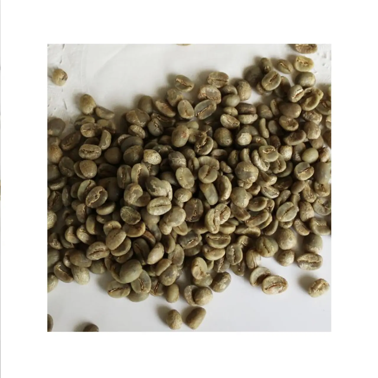 Vervaardigen Producten Specialiteit Koffie Prijs Van Ruwe Koffiebonen Vietnam Export Producten Hele Bonen Koffie Robusta Groene Bonen