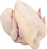 Ayam Turki HALAL Beku Utuh Grosir (73%), 2 IVP (Kemasan Vakum Individual) dalam 1 Kotak Karton Dari Ukraina