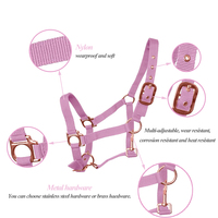 Ensemble de collier de tête et de longe pour cheval en nylon réglable et coloré à prix très bas, couleur rose, avec ferrures en laiton massif