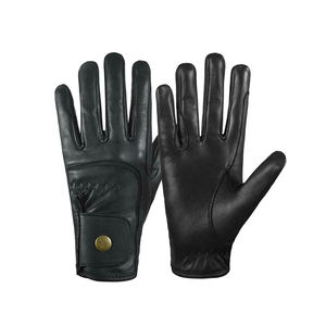 Gants d'équitation isolés de performance Gants haute performance conçus pour la chaleur et le confort pendant les promenades - Product Image 1