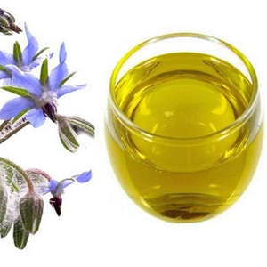 Huile de Borage Pressée à Froid, Huile Végétale de Base Liquide, Huile Essentielle 100% Pure et Naturelle, Liquide Jaune Clair, Certifiée GMP - Product Image 6