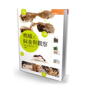 Los adultos de la hormiga de cría y de lectura de libros - Product Image 3