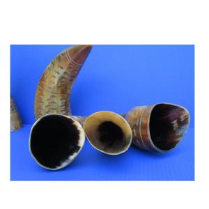 Cuerno natural cuerno decorativo para el hogar antiguo y de alta calidad al aire libre decorativo cuerno artesanal natural decorativo para la venta - Product Image 3