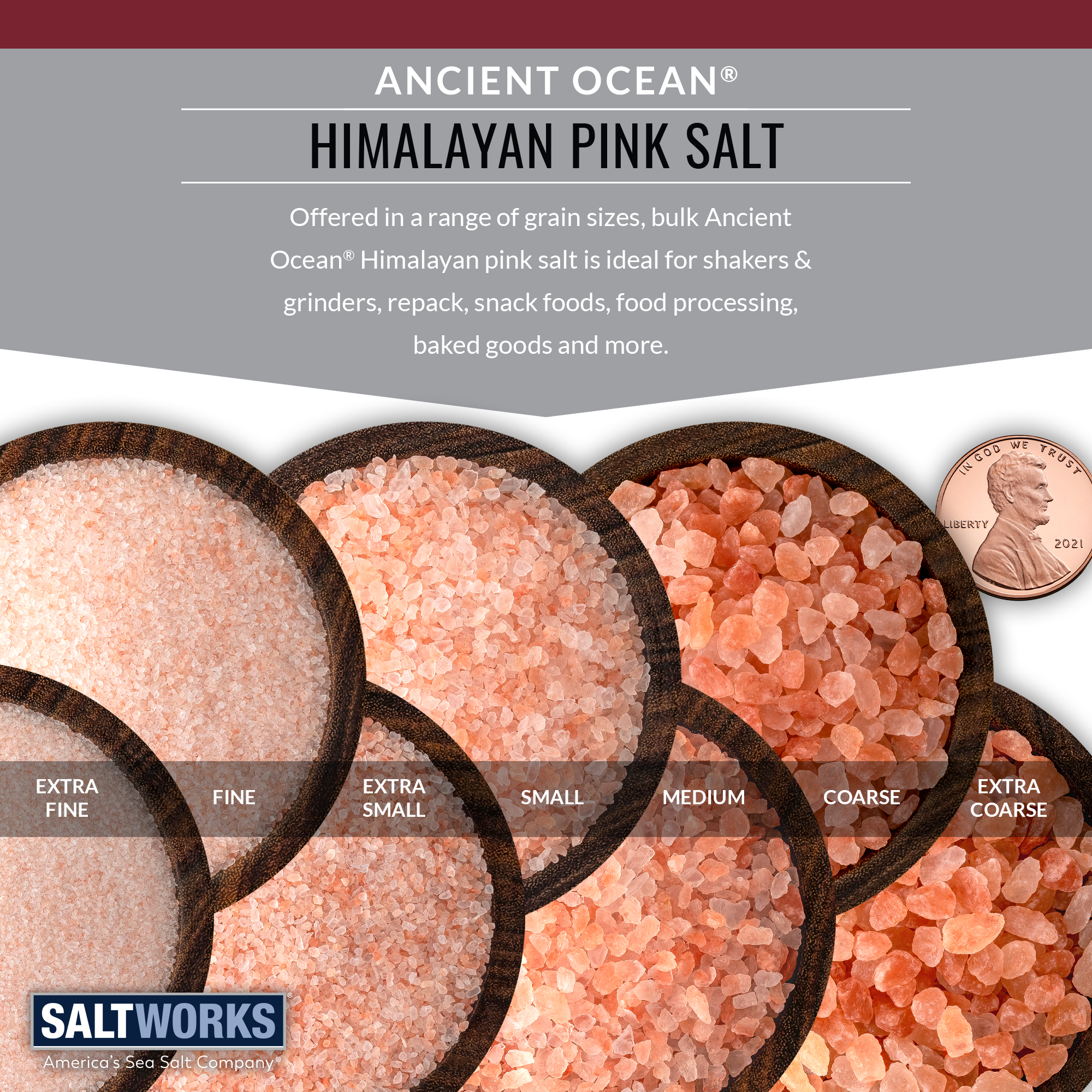 SaltWorks Ancient Ocean Himalayan Pink Salt, Bulk Himalayan Salt