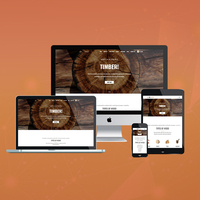 Netum — création de webcam personnalisé, entreprise de développement en inde, conception et Services de développement par microprocesseur web internet