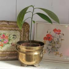 Pot de fleurs Antique en laiton Antique, pour décoration de maison et salon à prix bas - Product Image 5