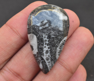 Zebra พลอยแอควอตซ์ Cabochon Zebra,พลอยทรงหลวมแบบพลอยควอตซ์ Cabochon แบบม้าลาย - Product Image 4