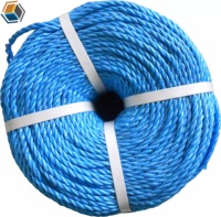 Cordes torsadées en nylon à 3 brins les plus vendues, marque Dan Line, ficelle monofilament, fabricant direct d'usine, PP HDPE Polypropylène