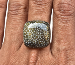Stingray Coral Cabochon High Quality Black Coral Cabochon Loose Gemstones Stingray Beads Cabochon - Product Image 5