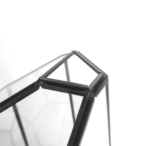 Không Đều Hình Học Glass Terrarium Handmade Cây Không Khí Chủ Tabletop Thu Nhỏ Container Trồng Cây Mọng Nước Hiển Thị Hộp Trường Hợp - Product Image 3