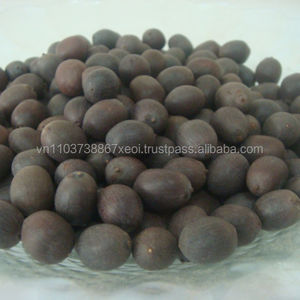 NOIX DE LOTUS NOIRES FRAÎCHES - Noix de lotus noires de première qualité en provenance du Vietnam - Product Image 3