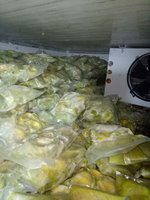 LQF Diepvries Avocado Halve Snijding & Brokjes Uit Vietnam 10KG/Karton Groen/Geel Vlees Gezond met Vleesstructuur