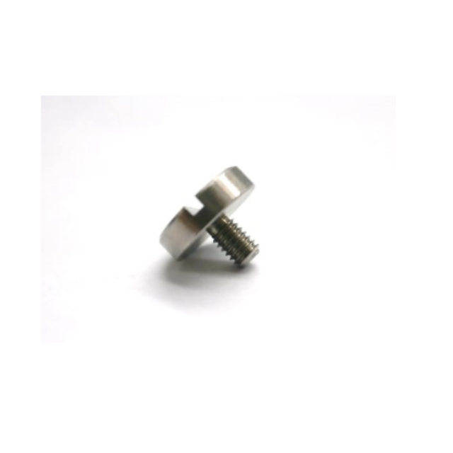 Taiwan M2.5 X 0.45 Slotted Head Screw