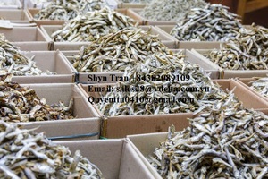 PRIX BON MARCHÉ POISSON ENCHOVY SÉCHÉ DU VIETNAM/ Shyn Tran - Product Image 6