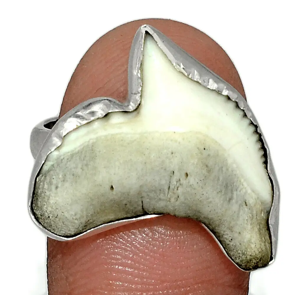 Shark Teeth 925 Mica Ring Silver 925 Sterling Handcrafted Jewelry Anillos Proveedor al por mayor Tailandia