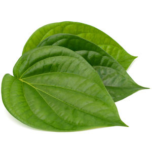 Aceite Esencial Puro de Hoja de Betel con Ingrediente de Árbol de Té, Destilado al Vapor para Limpieza de Poros y Cuidado Corporal Antiarrugas - Product Image 3