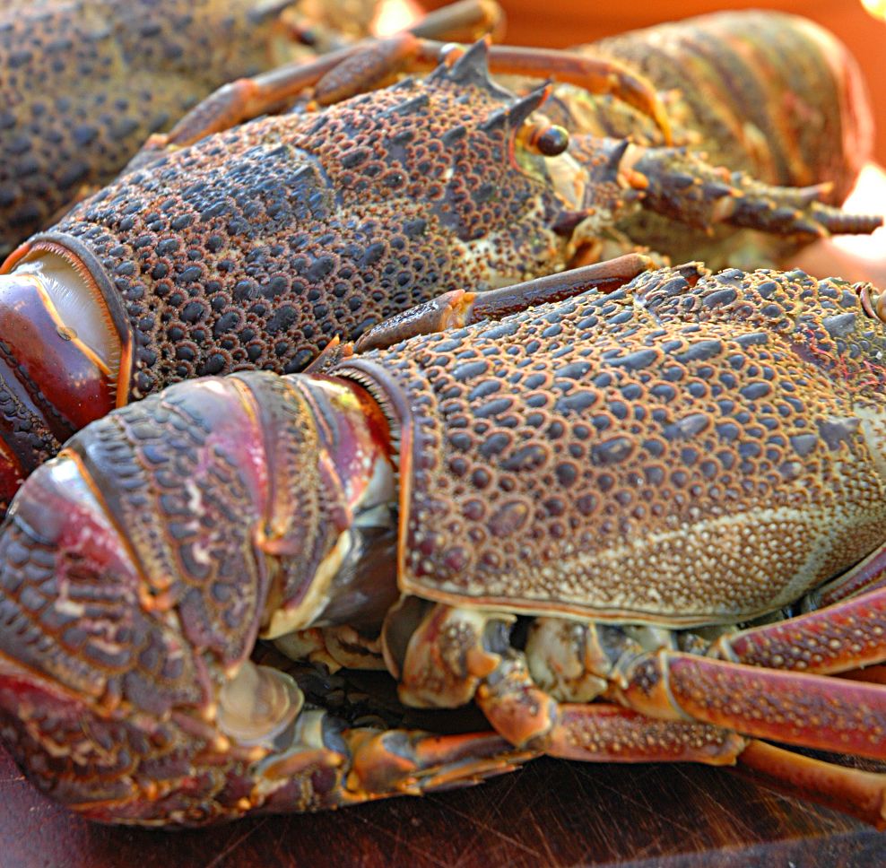 Занзибар морепродукты