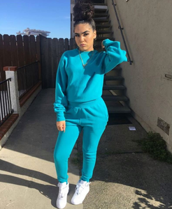 Conjunto Deportivo de Dos Piezas para Mujer, Invierno, Color Sólido, Sudadera con Capucha, Venta al Por Mayor, OEM - Product Image 6