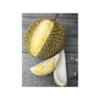 Versgevroren Mongthong/Ri 6 Durians Thailand AAA+ Graad 17kg Zoete Smaak 100% Pure Gele Natuurlijke Doos A4 Fruit Handel