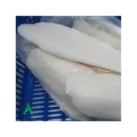 냉동 베트남 해산물/냉동 PANGASIUS 필렛/바사 물고기