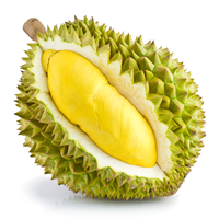 Top Selling 2022 Hoge Kwaliteit Verse Durian Fruit Met Concurrerende Prijs Uit Vietnam