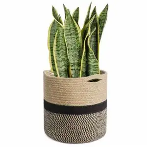 Eco friendly collapsible 11x11Inch cotton rope Woven Plants vase Manufacturer Homemade Handcraft Handmade Product India 2021