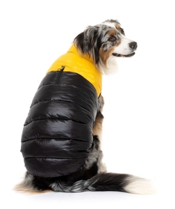 East Harlem Veste d'aventure confortable pour chiens Vêtements recyclés pour animaux de compagnie en jaune - Product Image 6