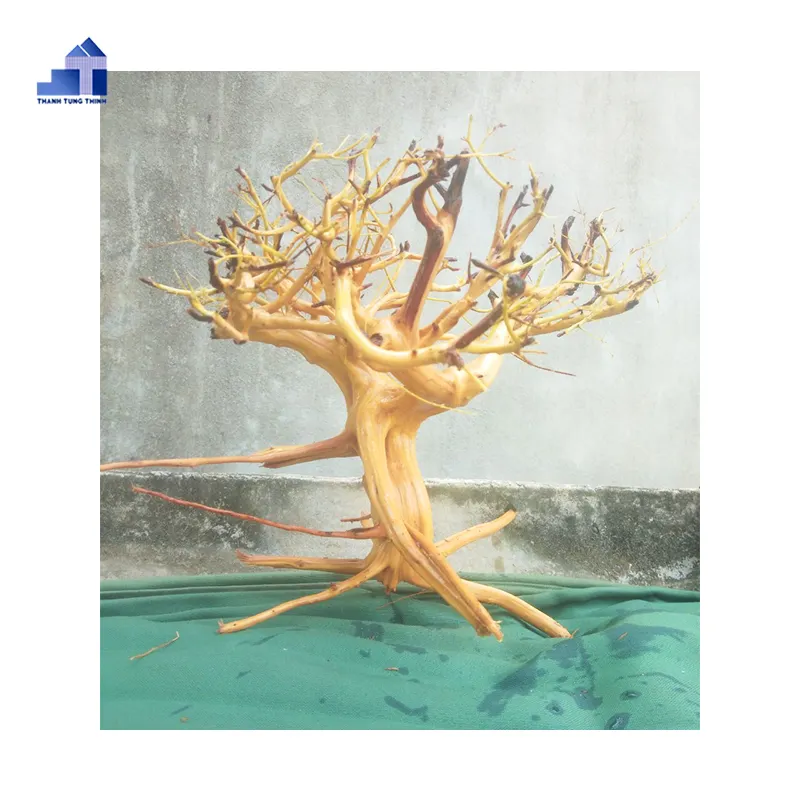 Balık tankı dekorasyon için Muti türleri doğal driftwood 2023 WhatsApp + 84 963 949 178