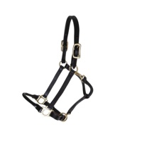 DD - Cabestros Ingleses de Cuero Suave Negro para Montar a Caballo, Hechos a Mano con Hebillas de Latón, Marca LLT, Proveedores y Exportadores de Confianza
