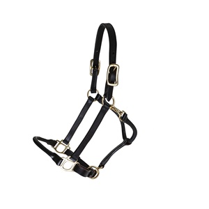 DD Black Soft Leather Horse Riding English Halters Hebillas de latón Tachuela ecuestre hecha a mano Proveedores y exportadores de confianza - Product Image 3