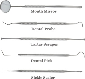 Juego de higiene dental de 5 uds., juego de cuidado bucal, juego de instrumentos dentales, material de acero inoxidable de alto grado fabricado por Life Care Instruments - Product Image 3