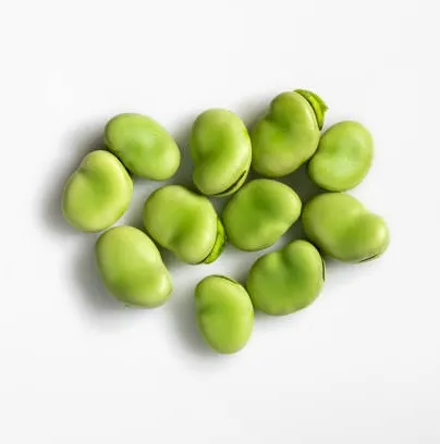 Groothandel Hoge Kwaliteit Voedselrijke Gedroogde Fava <span class=keywords><strong>Bonen</strong></span>/GK38 100% Natuurlijke Nieuwste Crop Fava Bean Gemaakt In viet Nam