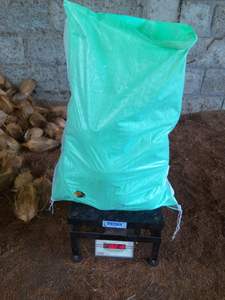 Fresh Semi husked Coconut - Product Image 6