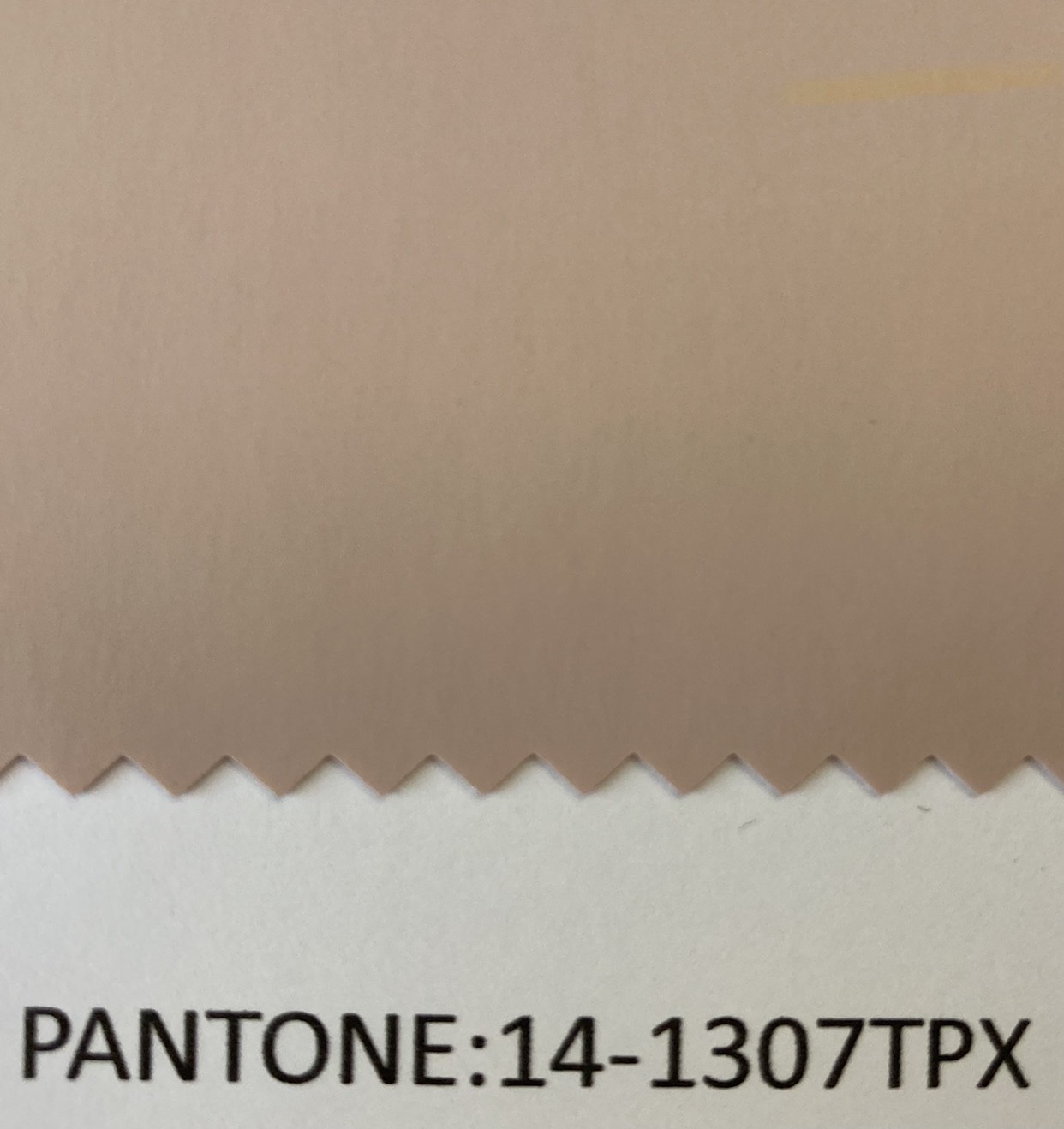 14-1307TPX