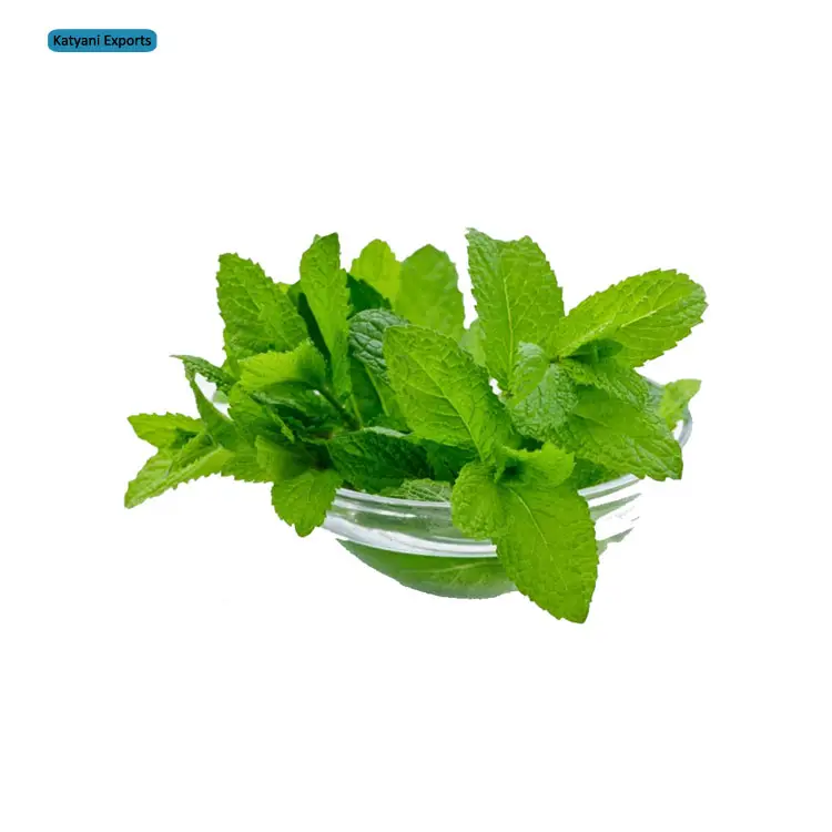 Pure and Natural 100% Organic Spearmint Oil (L Carvone > 60%)/ India's Largest Manufacturer